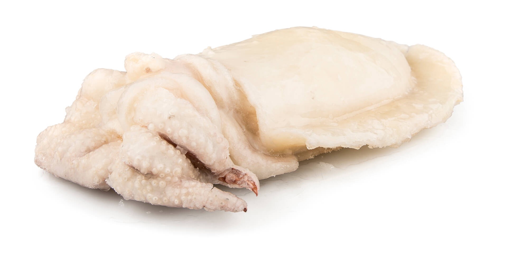 Choco Limpo 3/4 Congelado Marrocos Cx +/- 15 kg Choco Limpo 3/4 Congelado Marrocos Cx +/- 15 kg