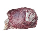Novilho Rabadilha Fresca Argentina V�cuo