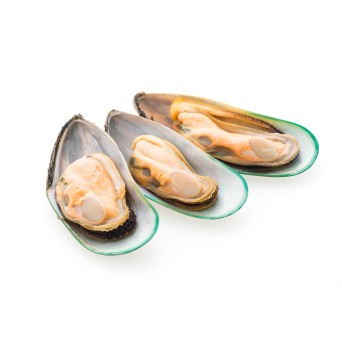Mexilh�o Meia Concha 30/45 Nova Zel�ndia 800g