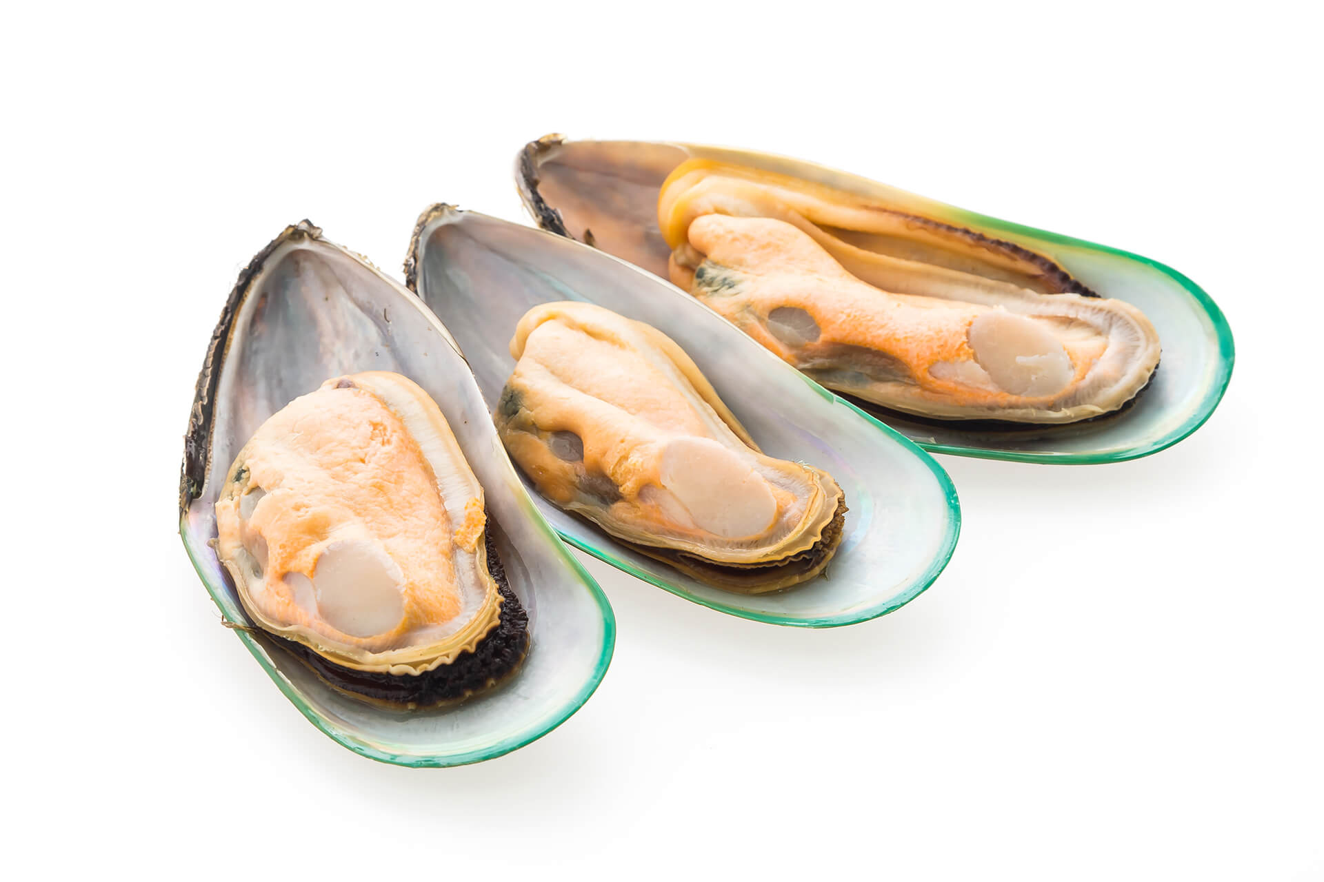 Mexilhão Meia Concha 30/45 Nova Zelândia 800g Mexilhão Meia Concha 30/45 Nova Zelândia 800g