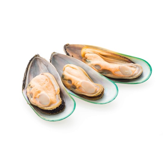 Mexilhão Meia Concha 30/45 Nova Zelândia 800g Mexilhão Meia Concha 30/45 Nova Zelândia 800g