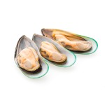 Mexilhão Meia Concha 30/45 Nova Zelândia 800g Mexilhão Meia Concha 30/45 Nova Zelândia 800g