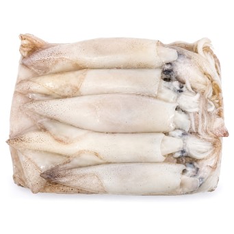 Lula Calif�rnia Congelada Cx 1 kg
