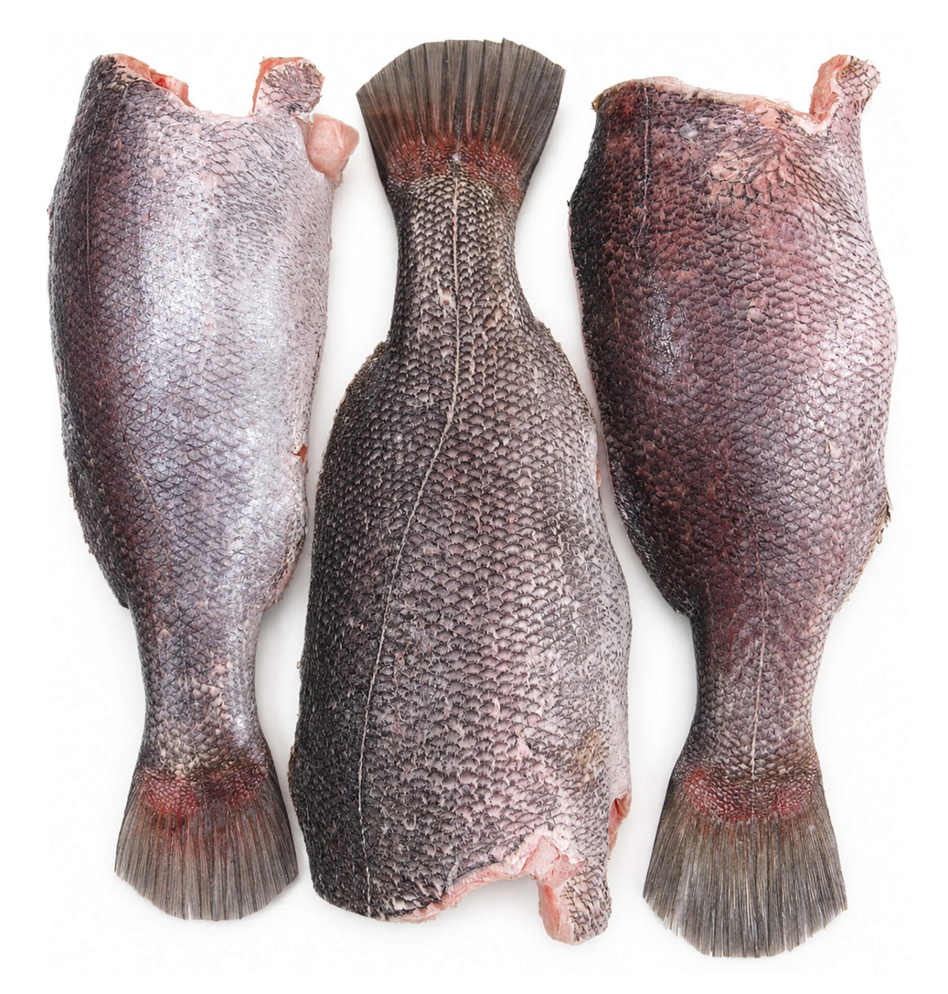Perca-do-Nilo Inteira s/ Cabe�a Congelada 1000/3000 g Cx 20 kg