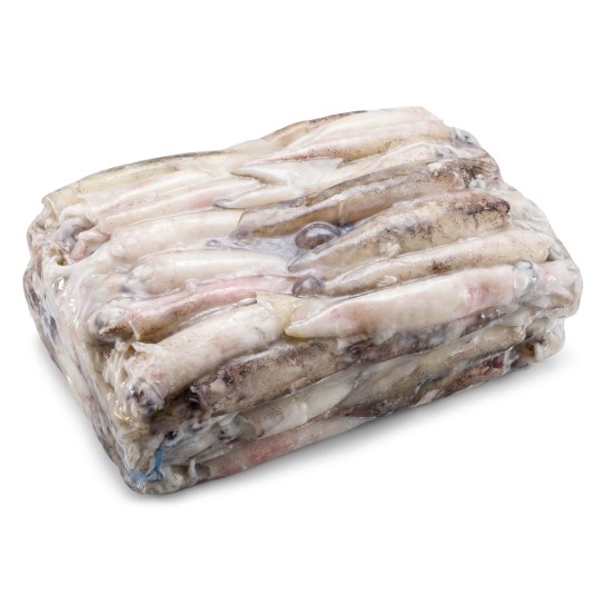 Lula Patagónica 9/12 Congelada Bloco Cx +/- 5 kg Lula Patagónica 9/12 Congelada Bloco Cx +/- 5 kg