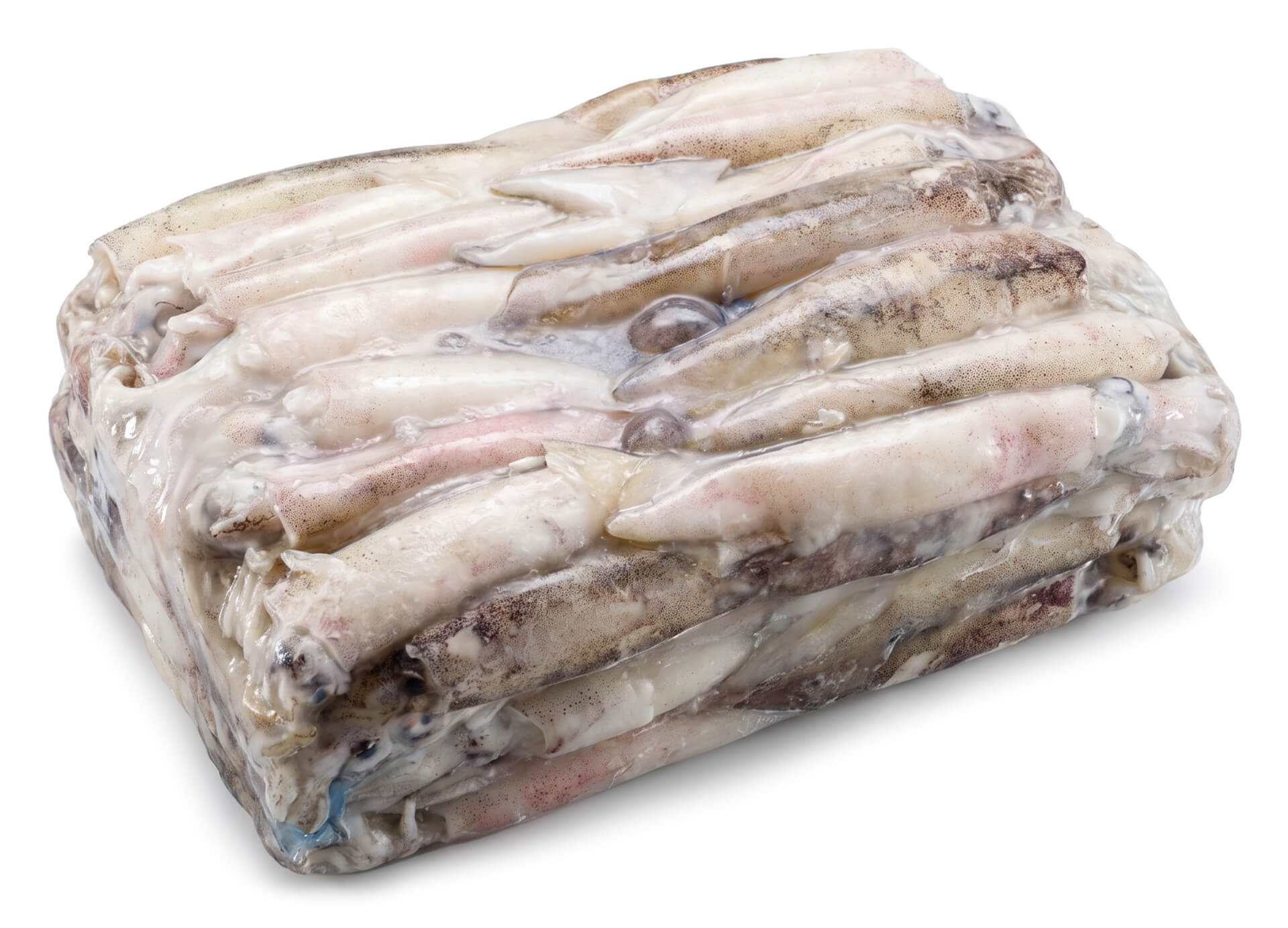 Lula Patagónica 9/12 Congelada Bloco Cx +/- 5 kg Lula Patagónica 9/12 Congelada Bloco Cx +/- 5 kg