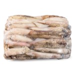 Lula Patagónica 9/12 Congelada Bloco Cx +/- 5 kg Lula Patagónica 9/12 Congelada Bloco Cx +/- 5 kg