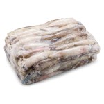 Lula Patagónica 9/12 Congelada Bloco Cx +/- 5 kg Lula Patagónica 9/12 Congelada Bloco Cx +/- 5 kg