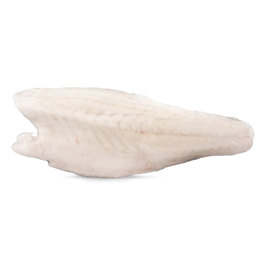Filete Robalo c/ Pele 120/200 g Congelado Cx 6 kg