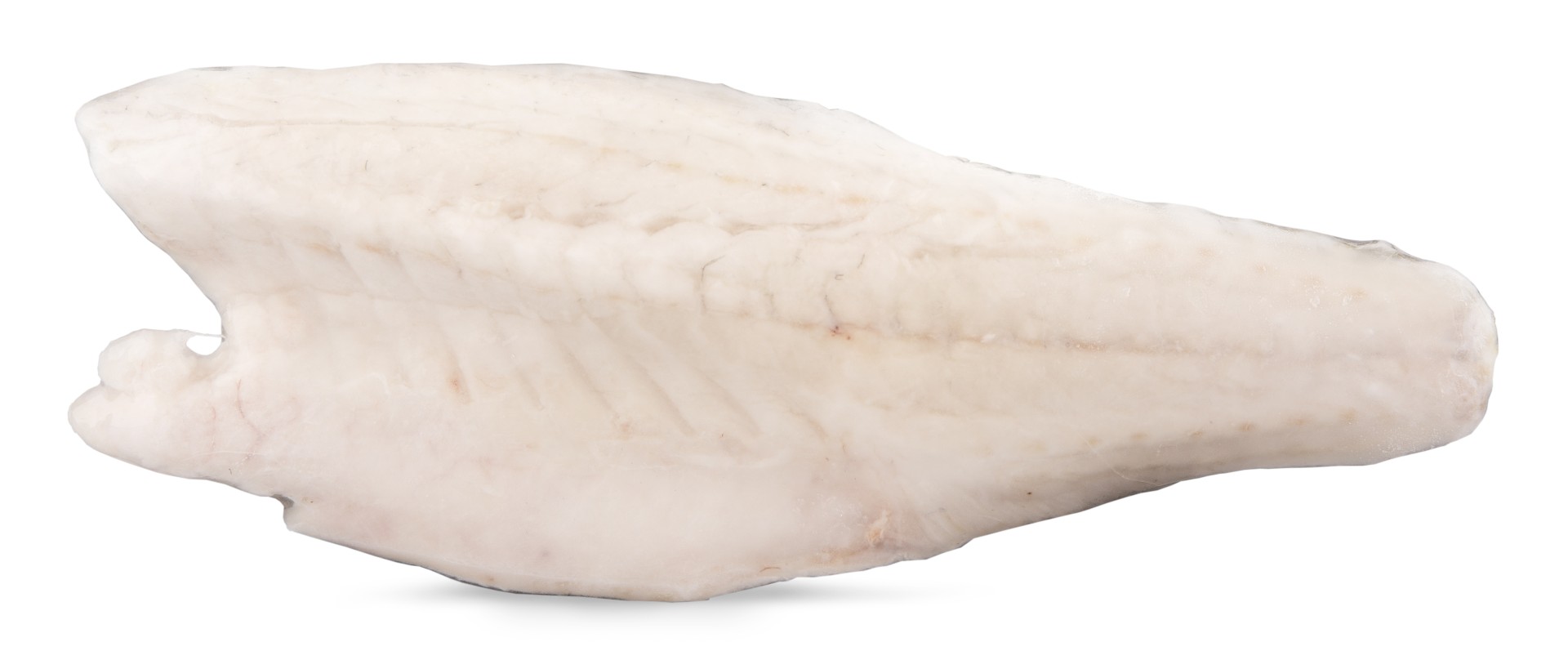 Filete Robalo c/ Pele 120/200 g Congelado Cx 6 kg Filete Robalo c/ Pele 120/200 g Congelado Cx 6 kg