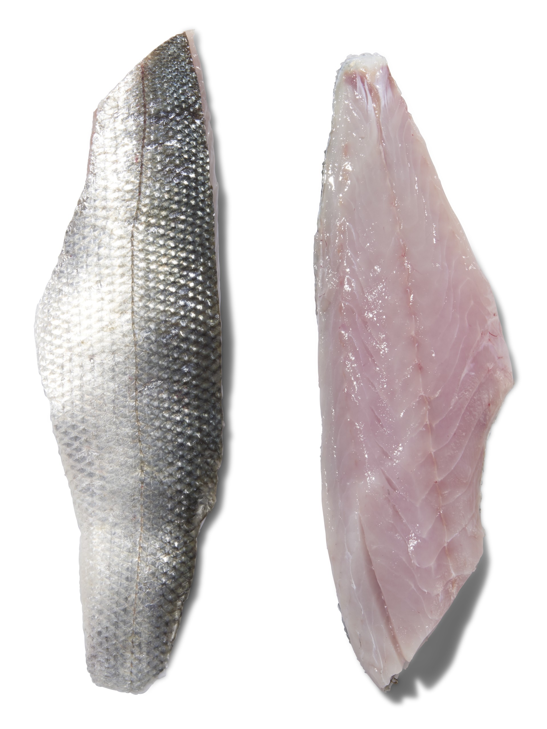 Filete Robalo c/ Pele 120/200 g Congelado Cx 6 kg Filete Robalo c/ Pele 120/200 g Congelado Cx 6 kg
