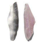 Filete Robalo c/ Pele 120/200 g Congelado Cx 6 kg