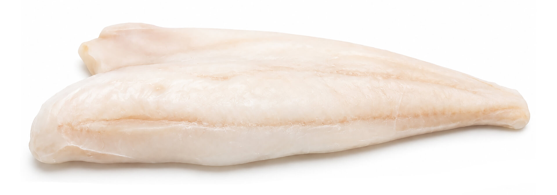 Filete Escamudo c/ Pele 500/1000 g Congelado Cx 11 kg