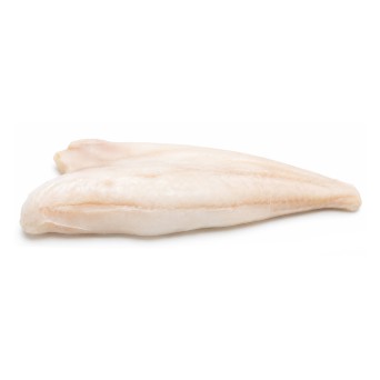 Filete Escamudo c/ Pele +1000 g Congelado Cx 11 kg