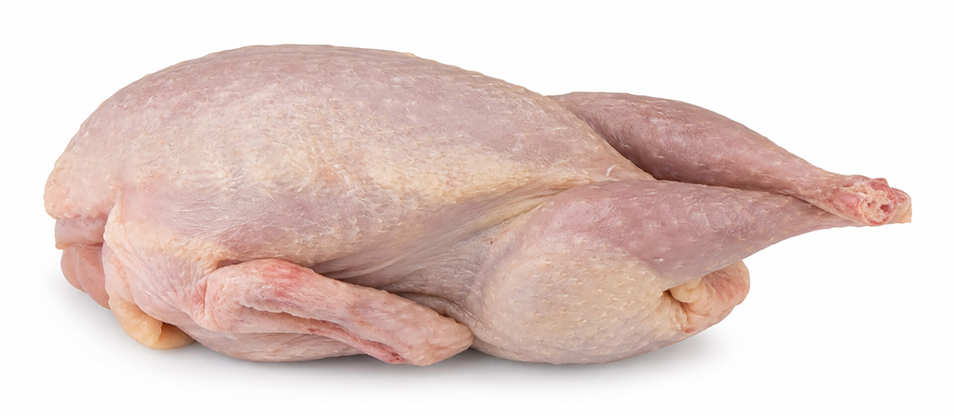 Perdiz s/ Penas Ibérica Congelada Vácuo Perdiz s/ Penas Ibérica Congelada Vácuo