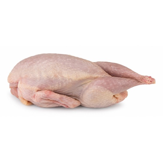Perdiz s/ Penas Ibérica Congelada Vácuo Perdiz s/ Penas Ibérica Congelada Vácuo