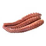 Polvo Cozido Tentáculos 260/320 g Congelado 4,5 kg Polvo Cozido Tentáculos 260/320 g Congelado 4,5 kg