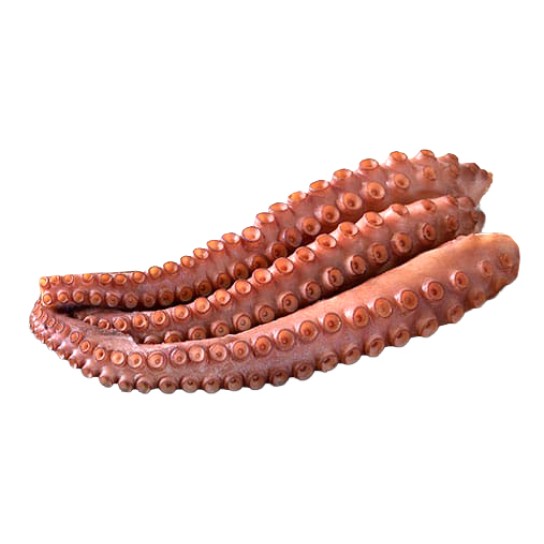 Polvo Cozido Tentáculos 260/320 g Congelado 4,5 kg Polvo Cozido Tentáculos 260/320 g Congelado 4,5 kg