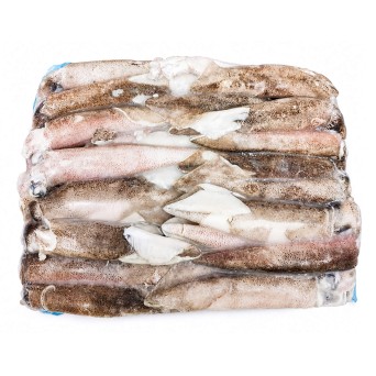 Lula Patag�nica 12/15 Congelada Bloco +/- 5Kg