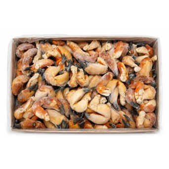 Bocas Sapateira Cozidas 8/12 Congeladas Cx 10 kg