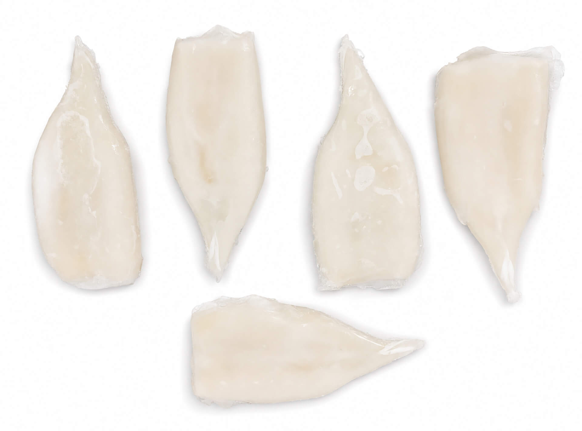 Tubo Pota U5 200/400 g Congelado Cx 5 kg