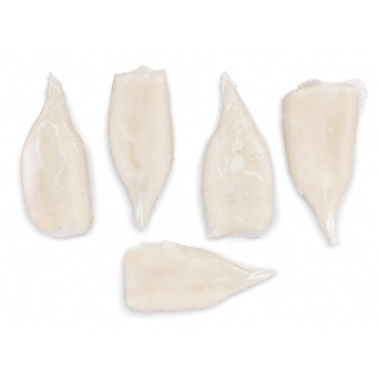 Tubo Pota U5 200/400 g Congelado Cx 5 kg