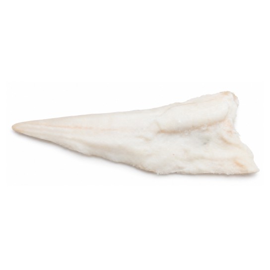 Filete Bacalhau 500/1000 g Congelado Cx 11 kg