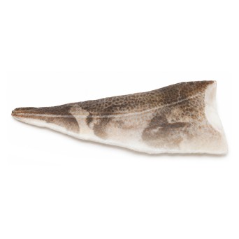 Filete Bacalhau 500/1000 g Congelado Cx 11 kg